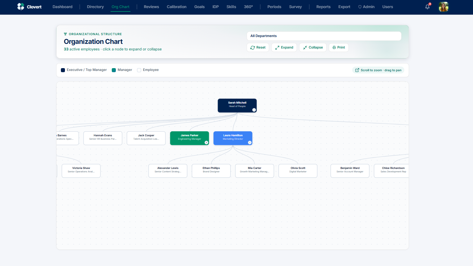 Organization Chart showing reporting hierarchy